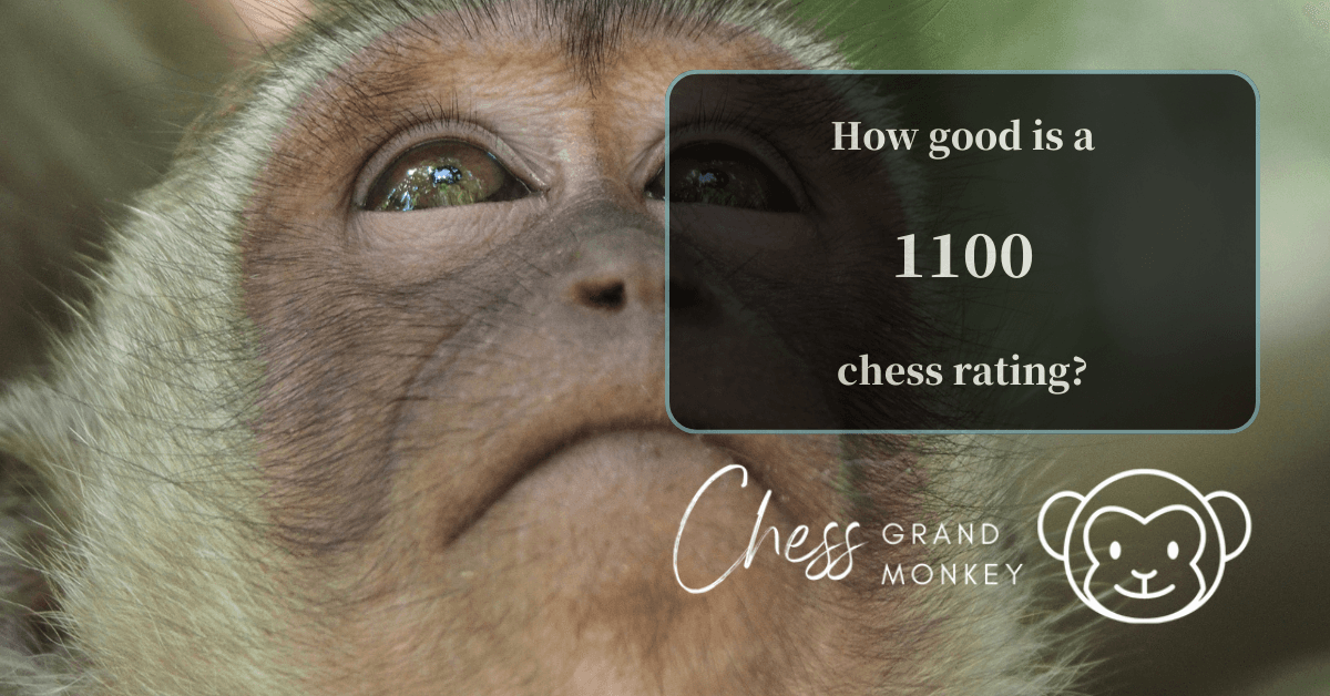 Monkey playing chess - 1100 chess rating