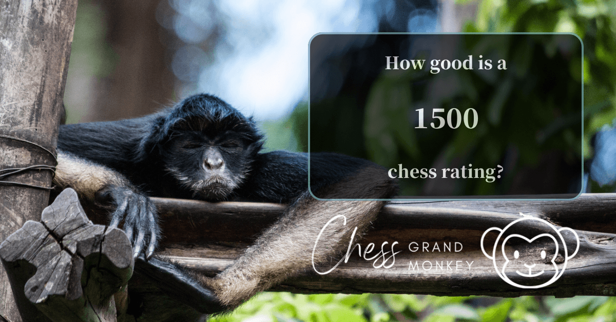 Monkey playing chess - 1500 chess rating