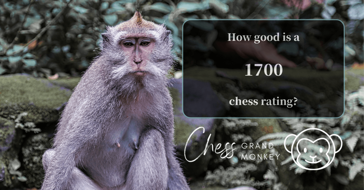 Monkey playing chess - 1700 chess rating