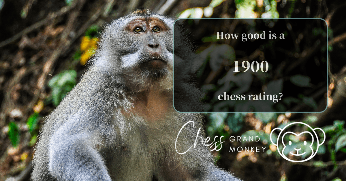 Monkey playing chess - 1900 chess rating